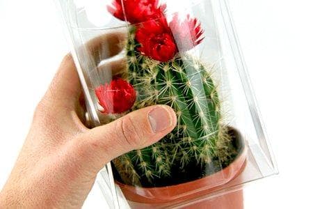 Combinaison pot et plante pour IKEA