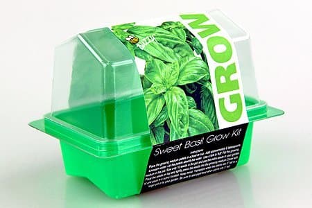 Les kits de Buzzy Seeds sont de retour au top niveau